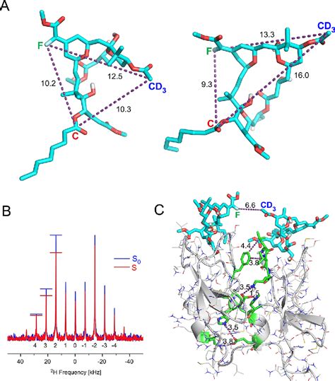 REDOR NMR Reveals Multiple Conformers for a Protein Kinase .